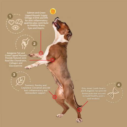 Shop Stay Loyal – Natural Joint Health Treats - The Doggie Shop - 