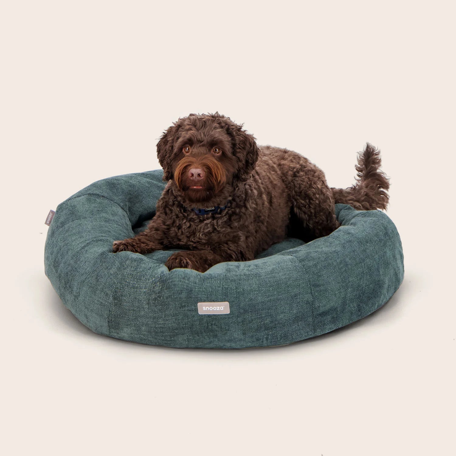 Dog Beds