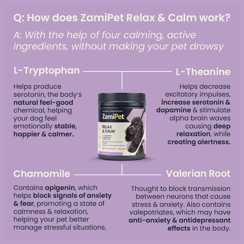 Shop ZamiPet – Relax & Calm Chews For Dogs - The Doggie Shop - 